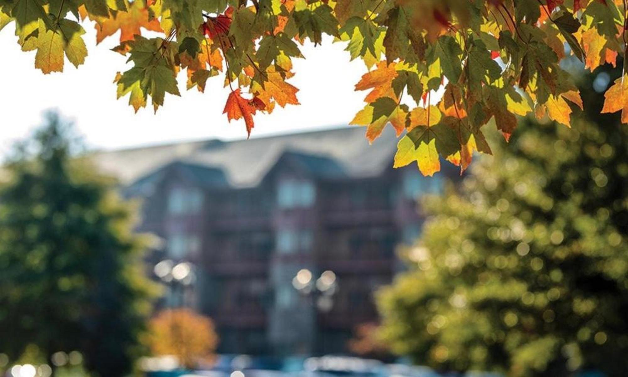 Great Smokies Lodge Sevierville By Hellovacay 외부 사진